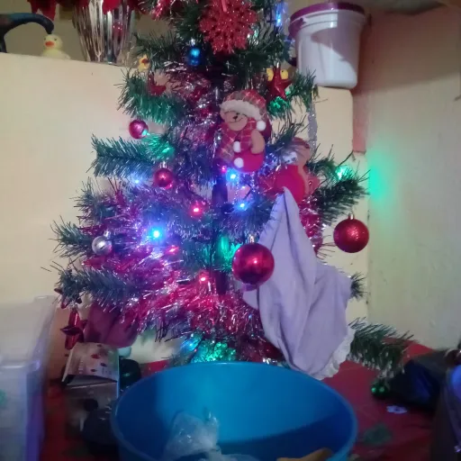 creator xx corazónxx's avatar