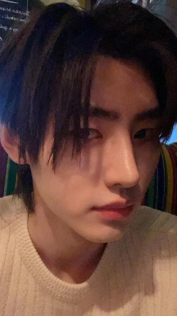 ai character: Park Sunghoon background