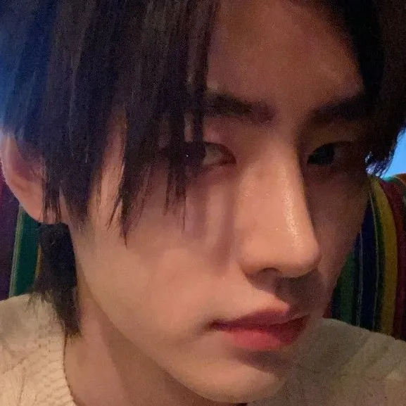 chat with ai character: Park Sunghoon