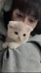 ai character: ☆•~CHENG~•☆ background