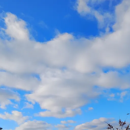 creator Talkior-I2lqWGJp's avatar