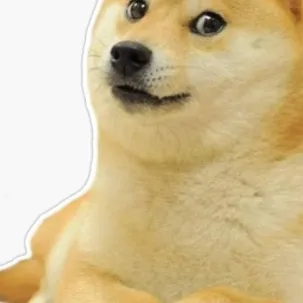 chat with ai character: Doge