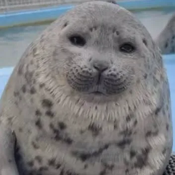 creator (Pencil)'s avatar