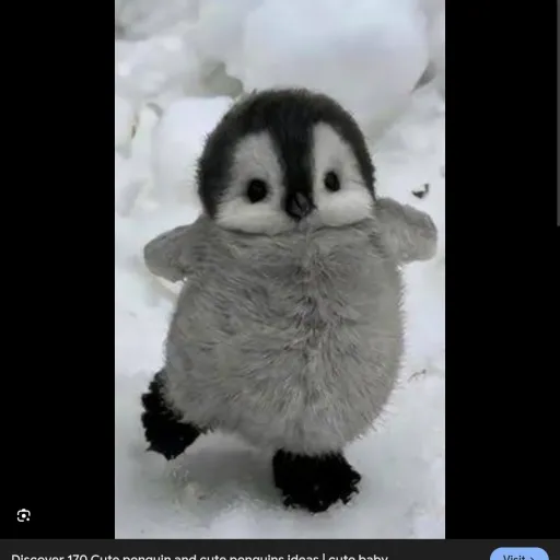 creator Eirwen_2025's avatar