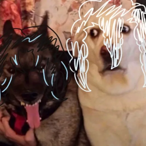 creator 𓆩 ♡ 𓆪's avatar