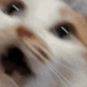 chat with ai character: MHA Car Trip :0