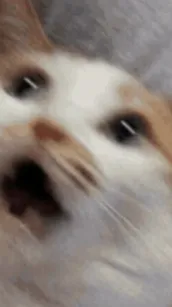 ai character: MHA Car Trip :0 background