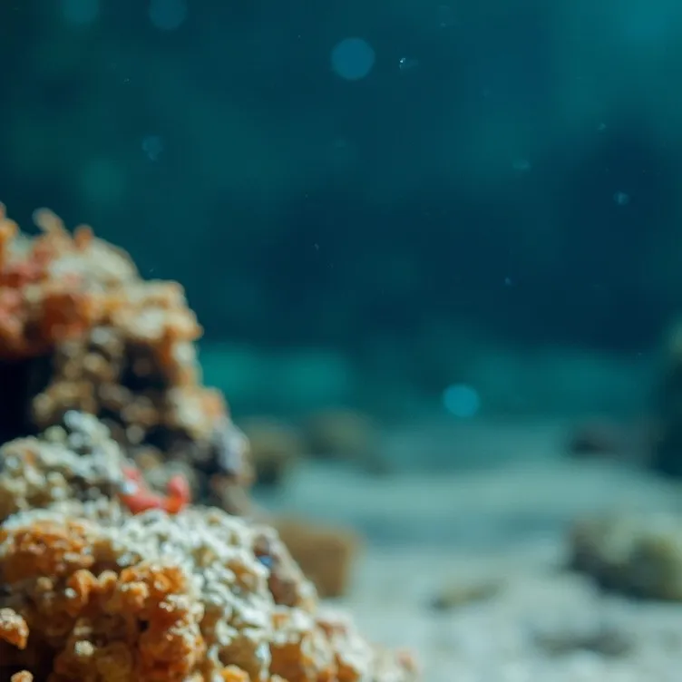 chat with ai character: .