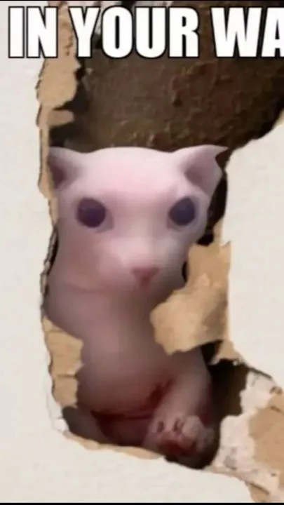 ai character: goofy ahh cat background