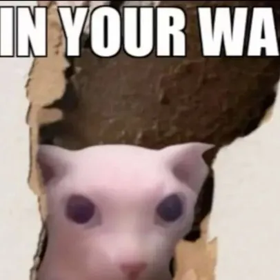 chat with ai character: goofy ahh cat