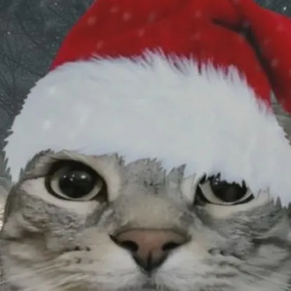 chat with ai character: drkitty