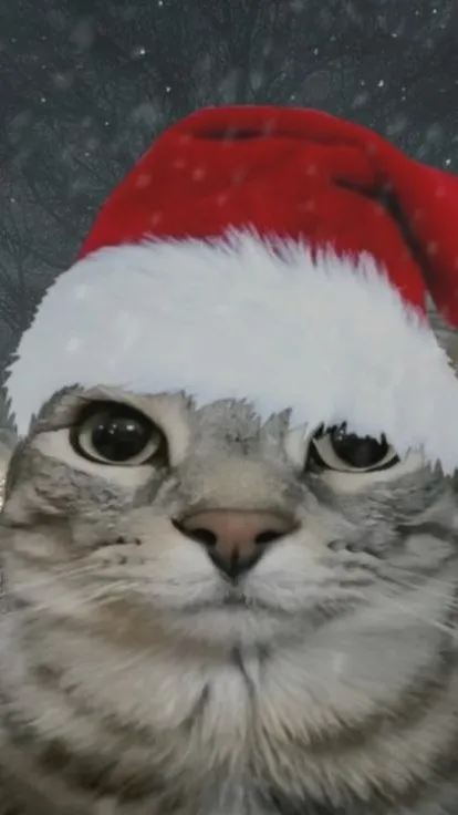 ai character: drkitty background