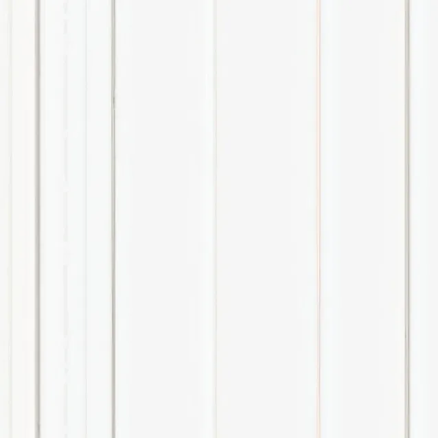 chat with ai character: white