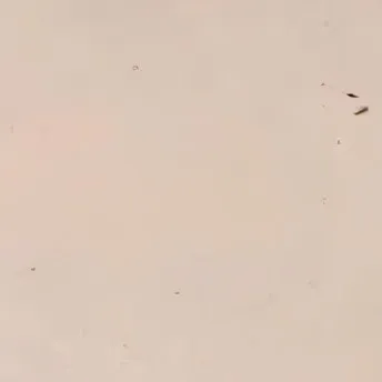 chat with ai character: Jinj:)