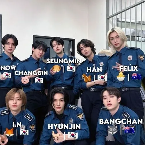 chat with ai character: Stray Kids Pick Me