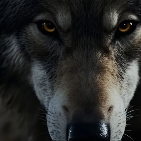 chat with ai character: Yandere