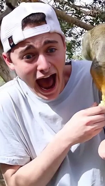 ai character: Noah Schnapp background