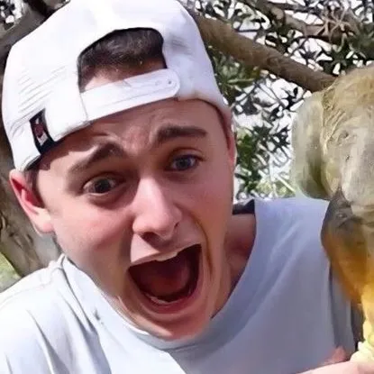 chat with ai character: Noah Schnapp