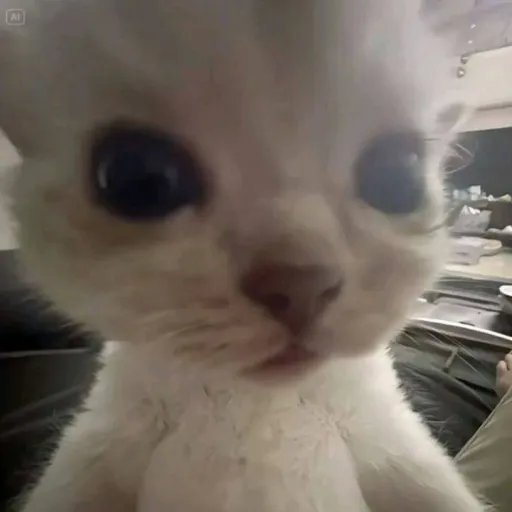 creator RizZ the word's avatar