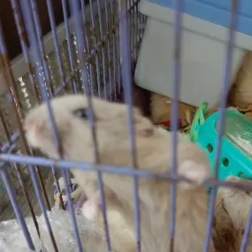 creator luna!1!1!'s avatar