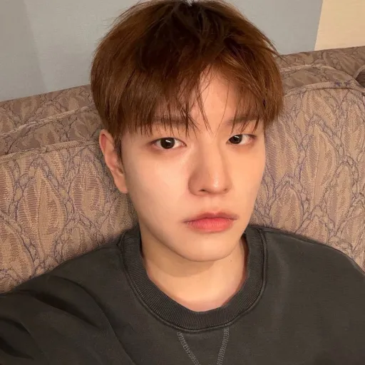 creator 𖧧 Seungmin ˖₊⊹'s avatar