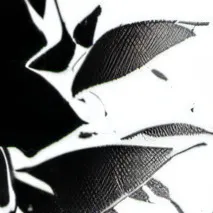 chat with ai character: Stalking sprout