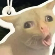 chat with ai character: your fav cat