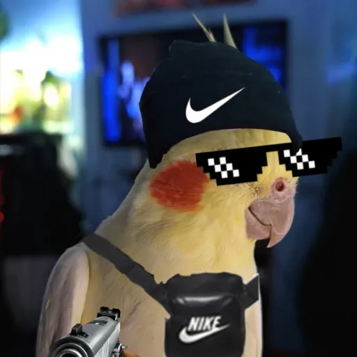 talkie's author avatar