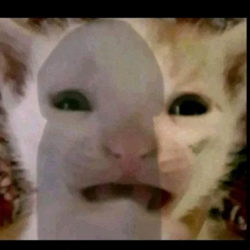 creator Friolento_22's avatar