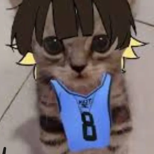 creator bachira gatito's avatar