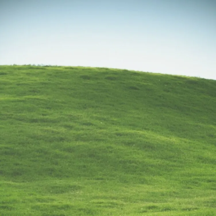 chat with ai character: Go touch grass