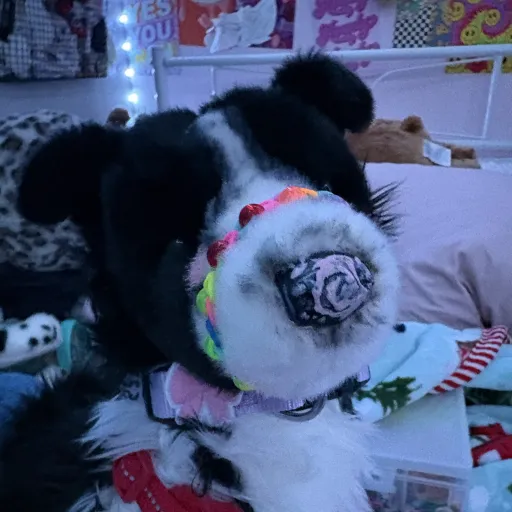 talkie's author avatar