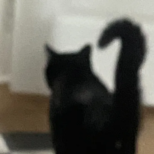 creator River Siler's avatar