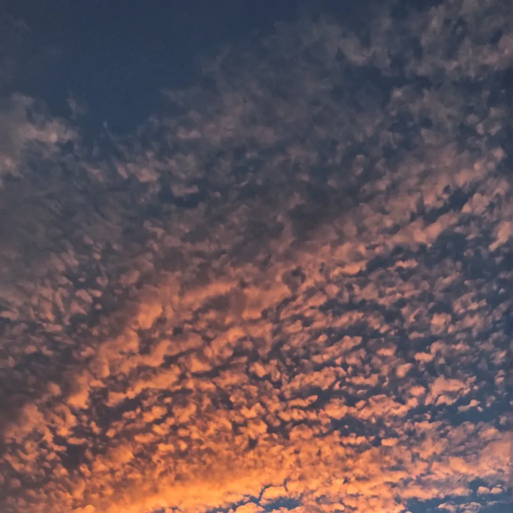 chat with ai character: Julie