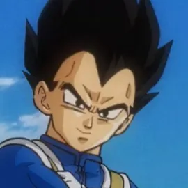 chat with ai character: Vegeta