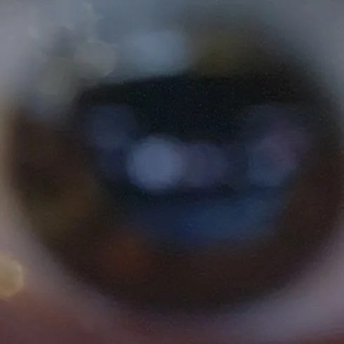 creator Charlie_name's avatar