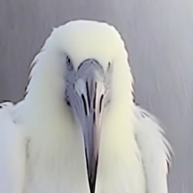 chat with ai character: luh calm fit nun 