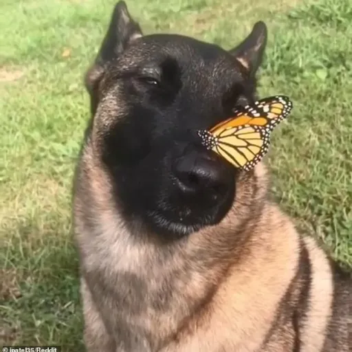 creator you need a moment's avatar