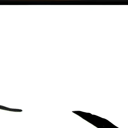 chat with ai character: Light