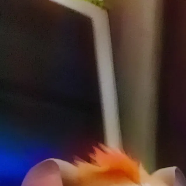 chat with ai character: Noodles