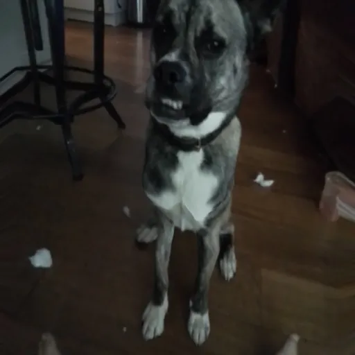 creator roslyn's avatar