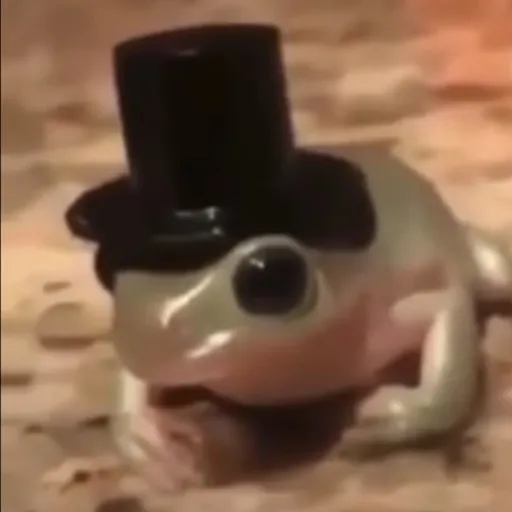 creator Afg's avatar