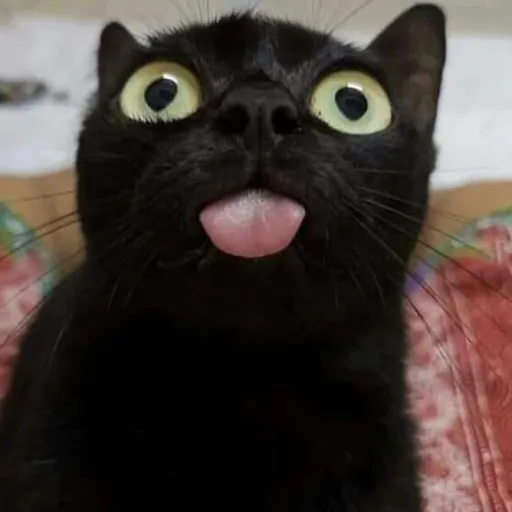 creator MagicalFerret:)'s avatar