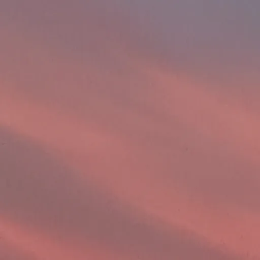 creator Evelyn1's avatar