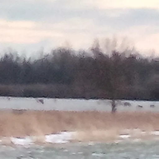 creator winter jr's avatar