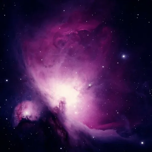 creator Stella Anneyo's avatar