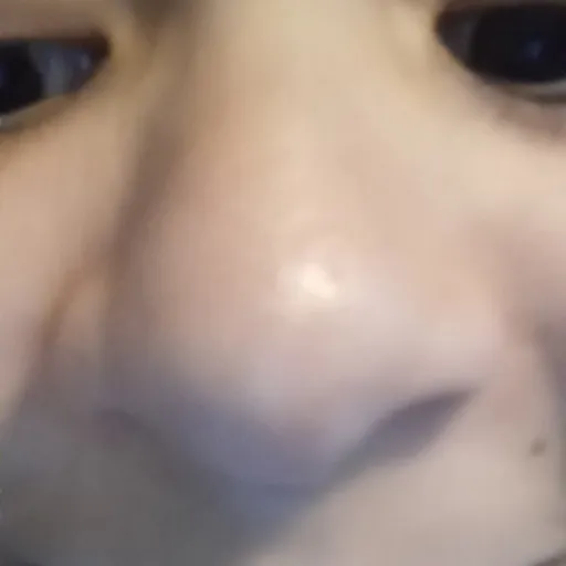 creator Talkior-heS5uegO's avatar