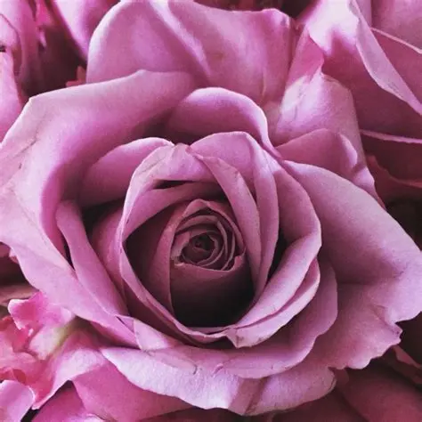 creator Love and Light's avatar