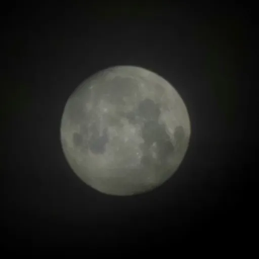 creator ❤🧡💛Lion💛🧡❤'s avatar