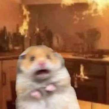 creator AnAverageSimp's avatar